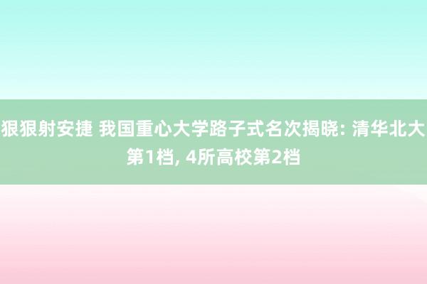 狠狠射安捷 我国重心大学路子式名次揭晓: 清华北大第1档， 4所高校第2档