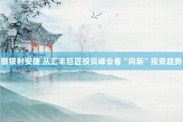 狠狠射安捷 从汇丰巨匠投资峰会看“向新”投资趋势