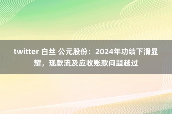 twitter 白丝 公元股份：2024年功绩下滑显耀，现款流及应收账款问题越过