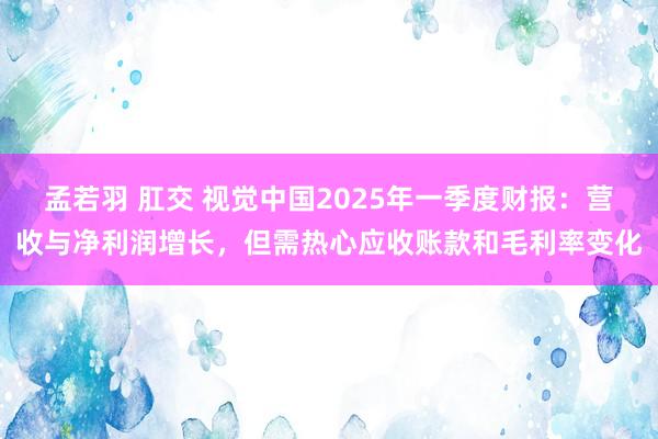 孟若羽 肛交 视觉中国2025年一季度财报：营收与净利润增长，但需热心应收账款和毛利率变化