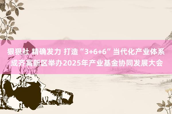 狠狠社 精确发力 打造“3+6+6”当代化产业体系 成齐高新区举办2025年产业基金协同发展大会